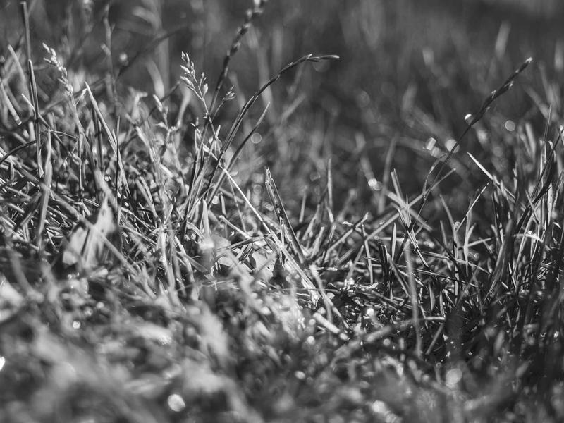 sudoku grid completion screenshot 3